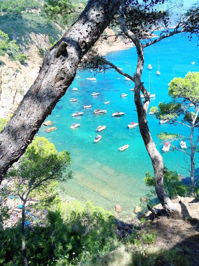 Apartament La Vista Bonica Blanes Eksteriør bilde