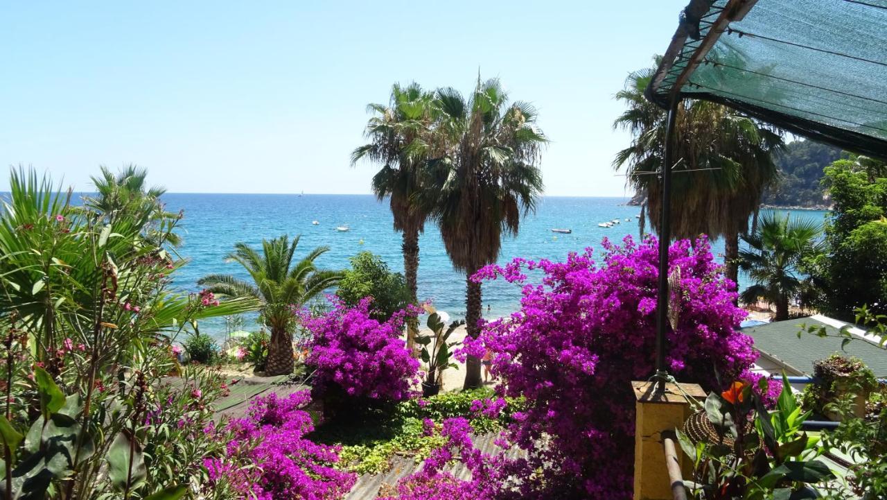 Apartament La Vista Bonica Blanes Eksteriør bilde